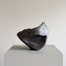 Load image into Gallery viewer, Vuelo